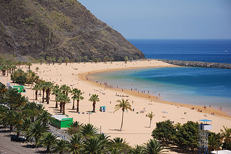 Palmen auf einem weissen strand in teneriffa foto