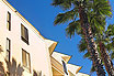 Exotische Palmen Vor Teneriffa Hotel Kanarische Inseln
