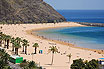 Palmen Auf Einem Weissen Strand In Teneriffa