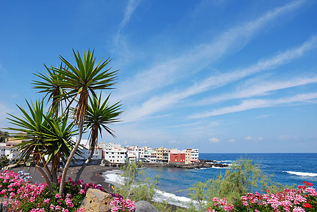 Luxuriant landscape near hotels at Puerto de la Cruz beach photo