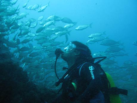 Scuba diving in Tenerife photo