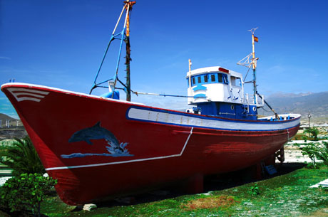 Spanish dolphin red boat photo