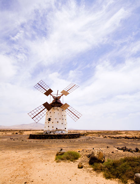 Wind mills Tenerife photo