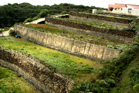 Giardini nello stile orientale in tenerife foto