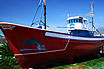 Nave Rossa Spagniola Dolphin Tenerife