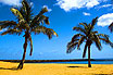 Sole E Palme Sulle Spiagge Di Tenerife