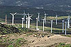 Ferma De Mori De Vant In Tenerife