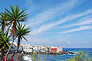 Peisaj Luxuriant Langa Hotelurile De Pe Plaja Puerto De La Cruz Tenerife